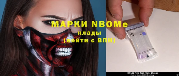 прущие грибы Навашино