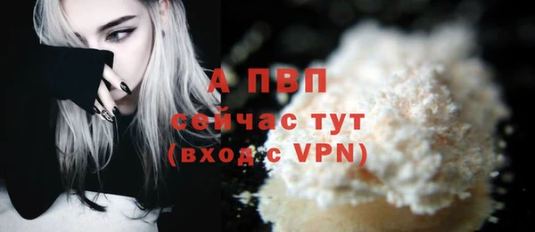 прущие грибы Навашино