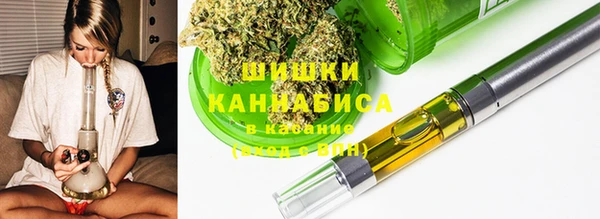 ПСИЛОЦИБИНОВЫЕ ГРИБЫ Надым