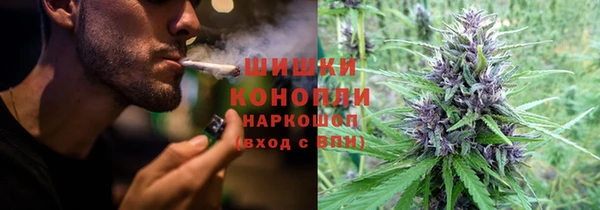 прущие грибы Навашино