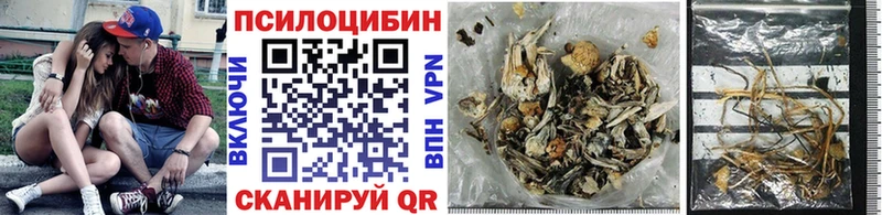 Псилоцибиновые грибы Psilocybine cubensis  блэк спрут tor  Сясьстрой 