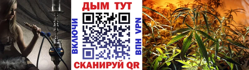 Конопля AK-47  Сясьстрой 
